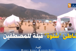 شاطئ شنوة.. عندما تجتمع مجانية الشاطئ بنوعية الخدمات