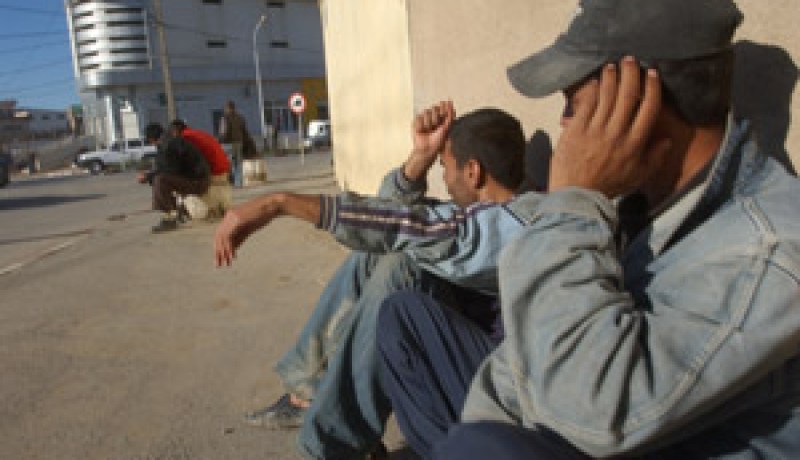 ميلاد أكثر من 10 جمعيات في مجالات مختلفة بغليزان