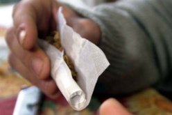 “البرزيلي” في مواجهة الماركات العالمية للسجائر