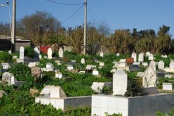 طبيبة تنبش قبر حَماتها انتقاما من زوجها السابق