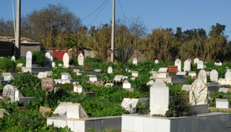 طبيبة تنبش قبر حَماتها انتقاما من زوجها السابق