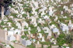 مقبرة “القطّار” تنتظر مغيثا