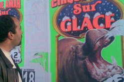 سيرك”عمار” يعود الى برج بوعريريج التي ولد فيها