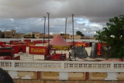 عودة ''سيرك عمار'' إلى الجزائر بحلة جديدة في أفريل