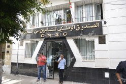 محمد محمودي: “كناك” موّلت 143 ألف مشروع في مختلف القطاعات الإقتصادية