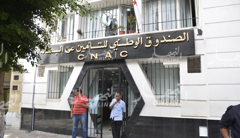 محمد محمودي: “كناك” موّلت 143 ألف مشروع في مختلف القطاعات الإقتصادية
