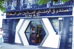 “كناك ” يُموّل مايقارب 1370 مشروع ببومرداس 