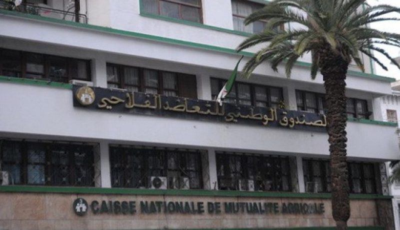 30 ألف دينار تعويض في 12 يوما لكل متضرر من «الأكسيدون»