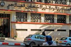 هكذا تلاعب بنك بدر وصندوق التعاضد الفلاحي بقرار بوتفليقة