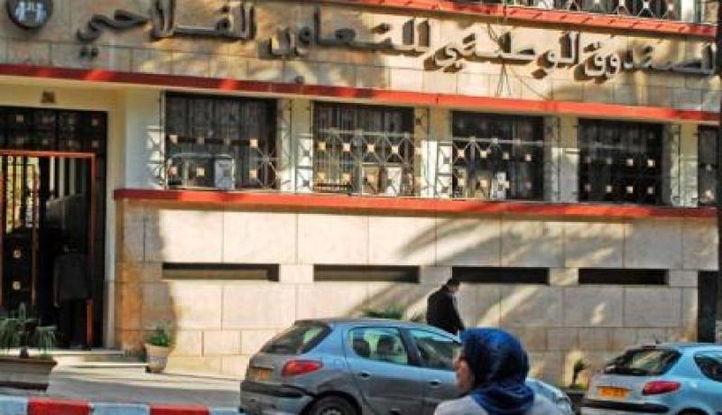 هكذا تلاعب بنك بدر وصندوق التعاضد الفلاحي بقرار بوتفليقة
