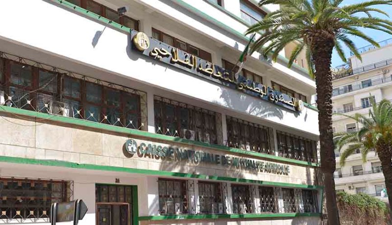 الحكومة تحلّ بنك «سي أن أم آ» الخاص بالفلاحين