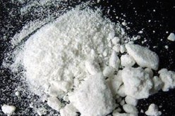 تفكيك عصابة تروّج الكوكايين تضمّ شقيقين بعد مداهمة غابة في تلمسان