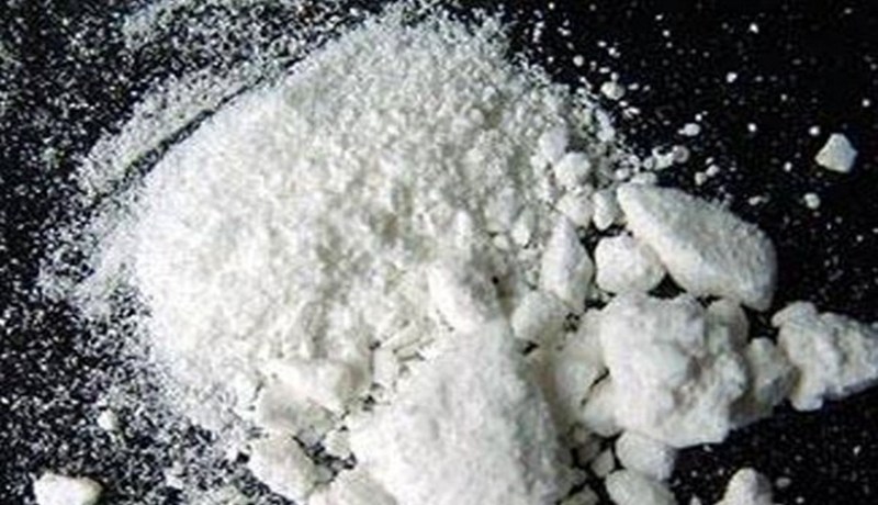 تفكيك عصابة تروّج الكوكايين تضمّ شقيقين بعد مداهمة غابة في تلمسان