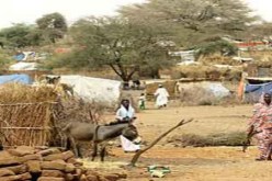 مسؤول بولاية جنوب دارفور  : قوات اليوناميد أصبح أمر حمايتها عبئا على السلطات