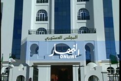 لأول مرة..المجلس الدستوري يتلقى قضية في إطار الدفع بعدم الدستورية