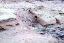 مصالح بلدية بئر العاتر تقدم على ردم هيكل حيوان البدائي بواسطة جرافة في تبسة