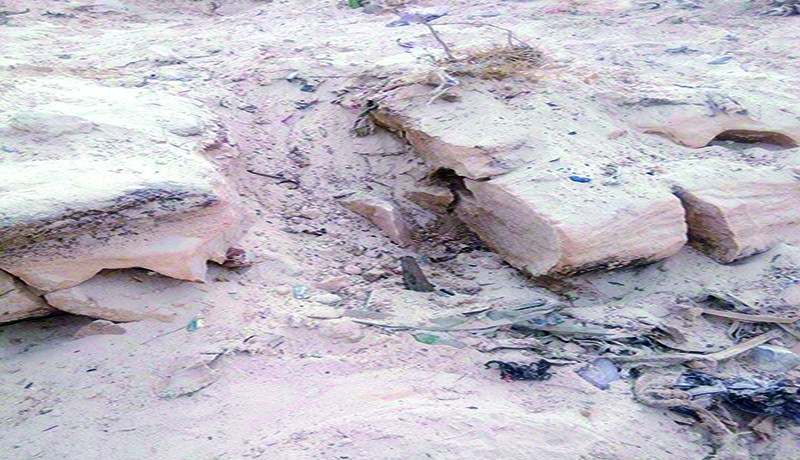 مصالح بلدية بئر العاتر تقدم على ردم هيكل حيوان البدائي بواسطة جرافة في تبسة