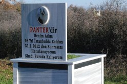 يشتري قطعة أرض ليبني قبرا لقطته التي ماتت