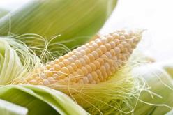 رفع ثمن قنطار الذرى حبوب إلى 5000 دينار ابتداء من الموسم القادم