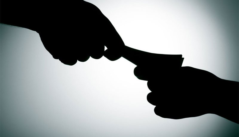 لا يعرفون ثقافة الخطوط الحمراء.. فيدوسون على كل أخضر ويابس !