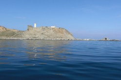 مدينة دلس ببومرداس تستفيد من مشروعين لإنجاز مسمكة و ملجأ للصيد البحري