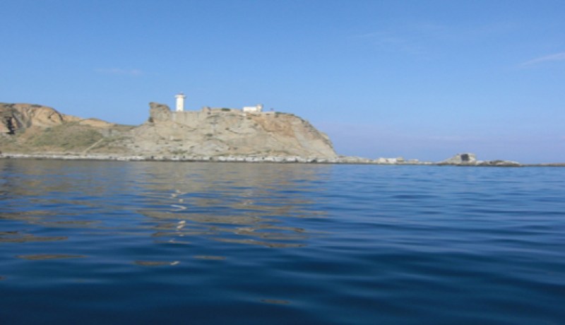 مدينة دلس ببومرداس تستفيد من مشروعين لإنجاز مسمكة و ملجأ للصيد البحري