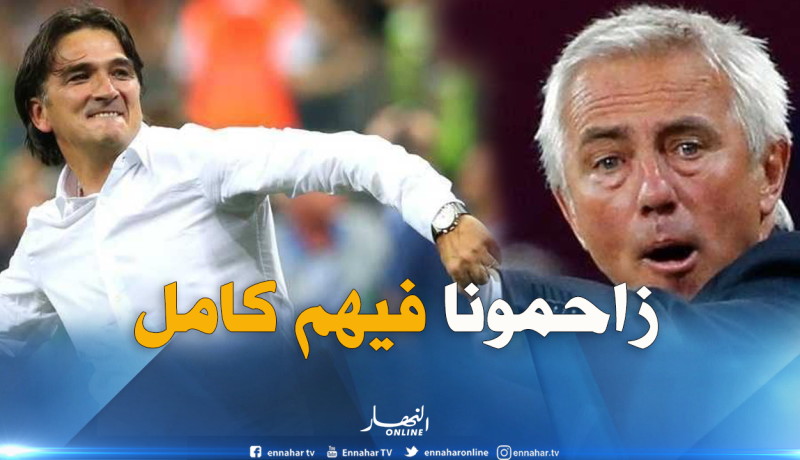 الإتحاد المصري يدخل الخط للتعاقد مع “فان مارفيك” و”داليتش”