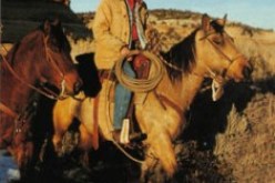 الشرطة البريطانية تطارد رعاة البقر