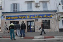 شركة ''بايب لاين'' الوهمية تحتال على CPA و''4A4'' للكومبيوتر وتنهب الملايين