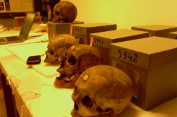 قريبا.. إنطلاق المرحلة الثانية لإسترجاع بقية جماجم شهداء المقاومة الشعبية