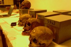 فرنسا تعد لائحة لـ41 “جمجمة” الشهداء لتسليمها إلى الجزائر