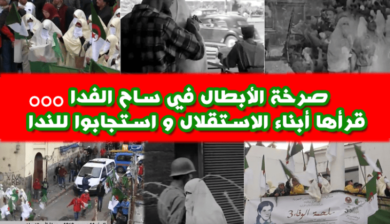 11 ديسمبر 1960 …و عقدنا العزم أن تحيا الجزائر