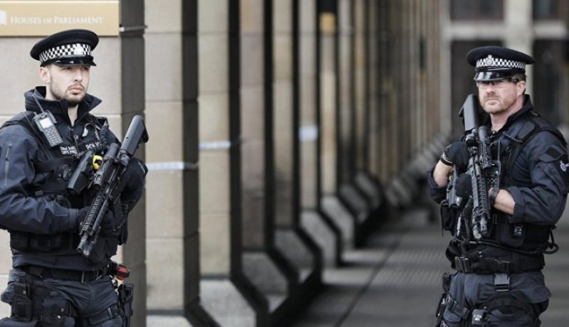 مفاجأة غير متوقعة..جرذان تروّج للمخدرات داخل السجون البريطانية