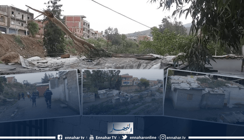 إصابة سيدة بعد سقوط شجرة على منزلها بسبب الرياح في البليدة