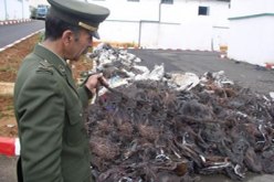 إحباط محاولة تهريب أكثر من 2 طن من نفايات النحاس و1500 خرطوشة سجائر بتلمسان
