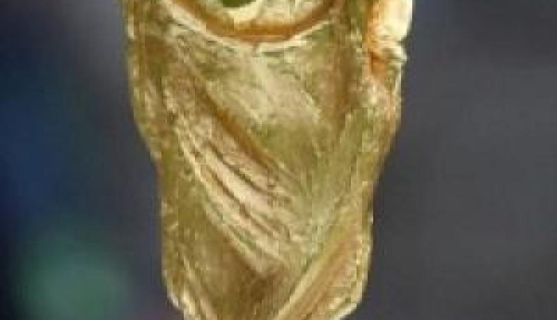مونديال 2010: الهدافون