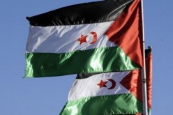 الأمم المتحدة تطالب بفتح تحقيق في مقتل المواطن الصحراوي اشماد بات جولي