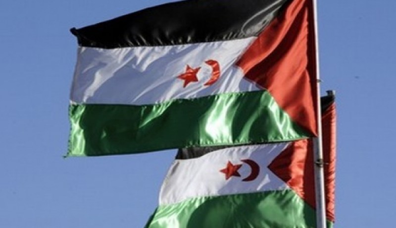 الأمم المتحدة تطالب بفتح تحقيق في مقتل المواطن الصحراوي اشماد بات جولي