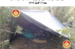 الكشف عن مخيم للارهابيين ملغم في الكاف بتونس