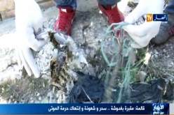 بالفيديو مقبرة بغدوشة…سحر وشعوذة و إنتهاك حرمة الموتى في قالمة