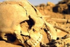 بالصور العثور على بقايا عظام لجنس بشري بجنوب إفريقيا