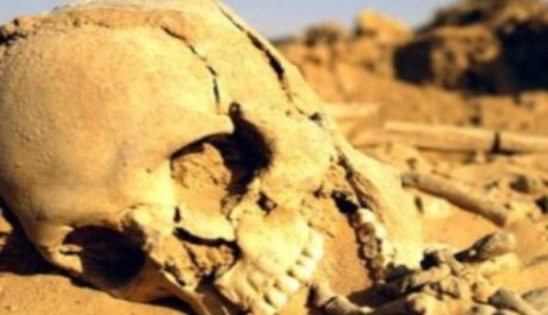 بالصور العثور على بقايا عظام لجنس بشري بجنوب إفريقيا