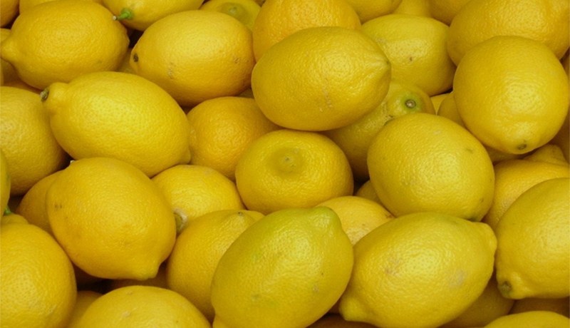 تغريم شاب سرق قنطارين من الليمون بـ 20 ألف دج في العاصمة