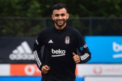 غزال يجذب اهتمام ليون