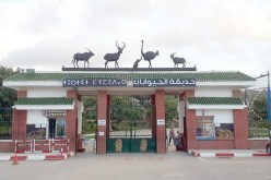 جيجل.. غلق حديقة الحيوانات والتسلية بالعوانة بسبب كورونا