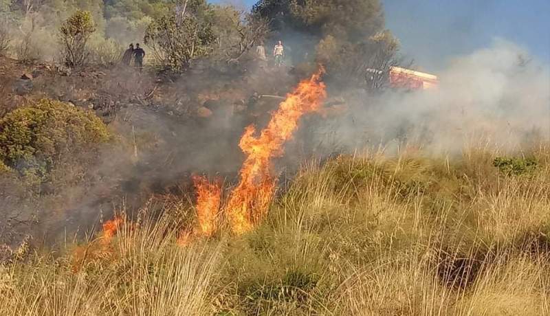 نيران تلتهم 1 هكتار من الأحراش والأدغال بحمام ملوان في البليدة