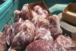 تيارت.. حجز 39 قنطار من الفرينة وأكثر من قنطارين من اللحوم الفاسدة