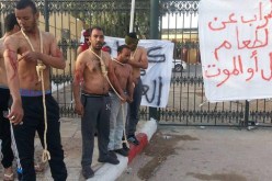 هنـاك ألـف منـصب شغل شاغـر في ولاية ورڤلة