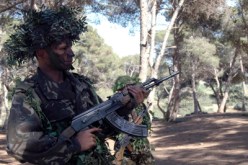 واشنـطـن تعـتـرف الجـزائـر قـادرة عـلـى مكـافـحـة الإرهــــــاب