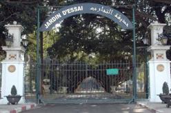 خسائر بـ3 ملايير و600 مليون بسبب تلاعب بالصفقات في حديقة الحامة